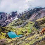 lares trek feel peru