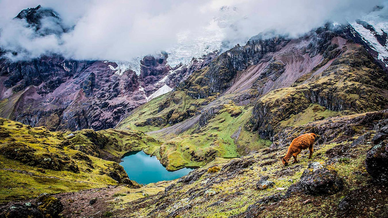 lares trek feel peru